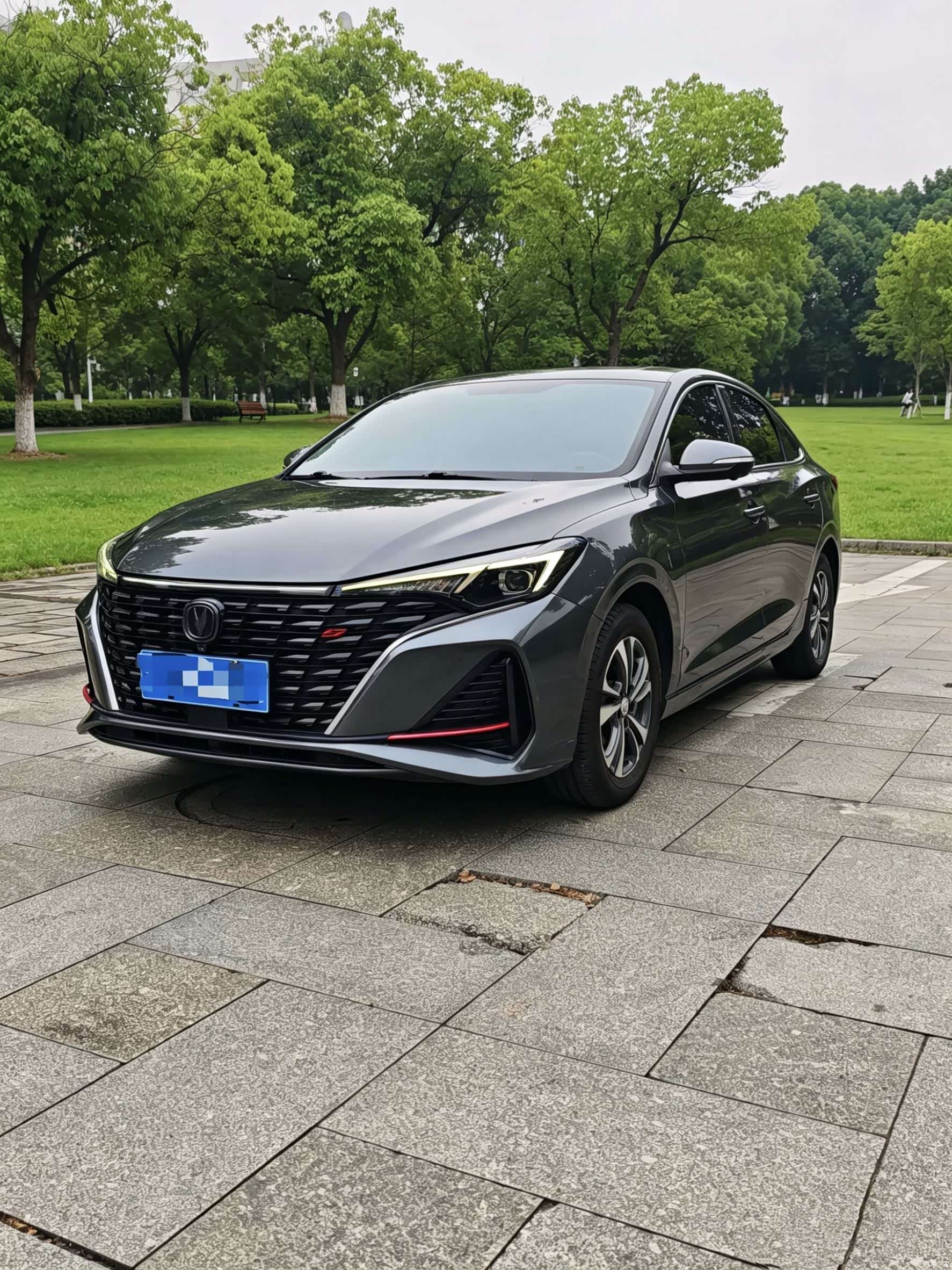 Changan Eado, 2023 1