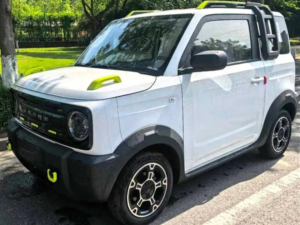 Geely Galaxy panda