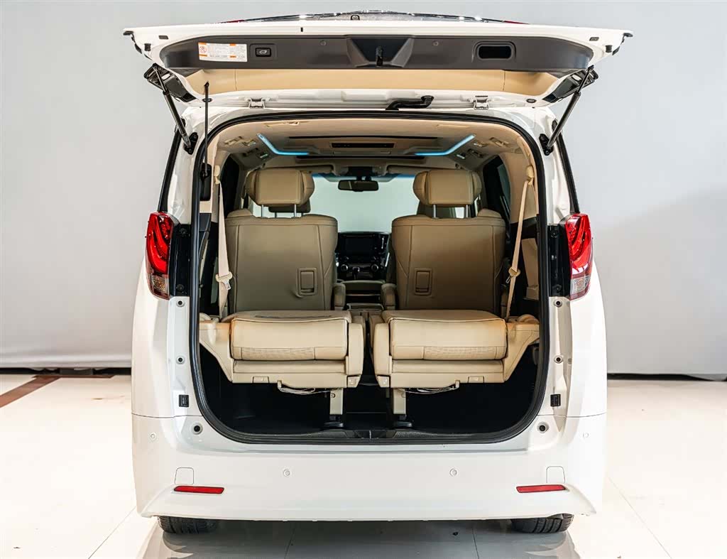 Toyota Alphard, 2018 18