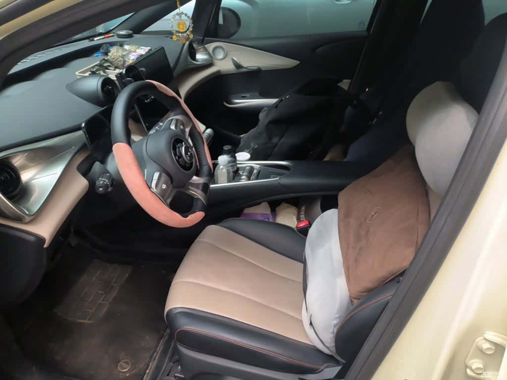 BYD Dolphin, 2024 8