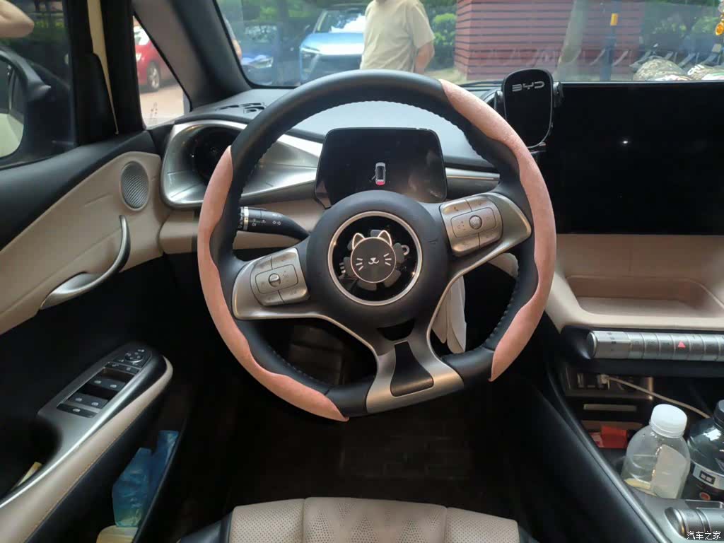 BYD Dolphin, 2024 3