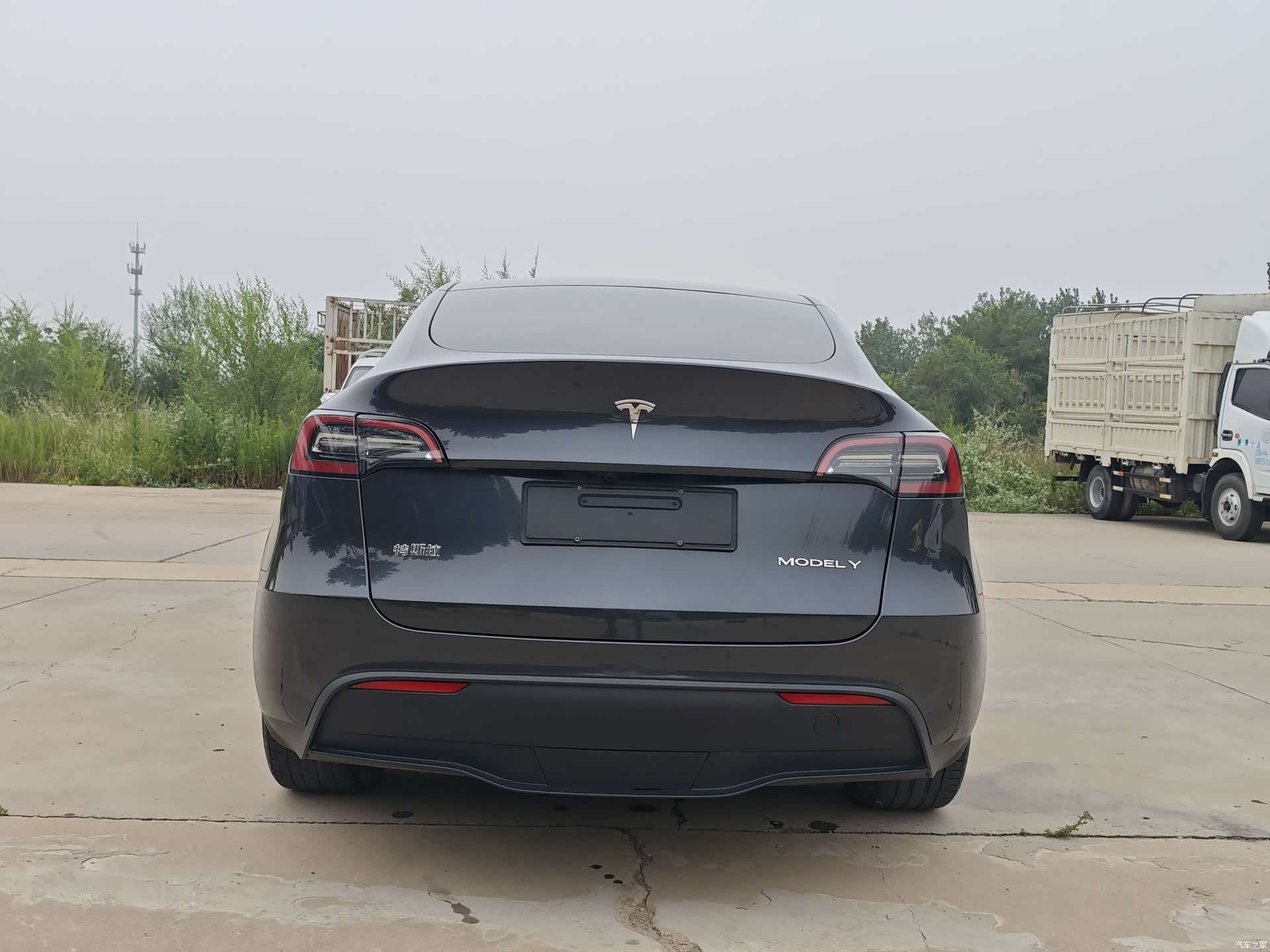 Tesla Model Y, 2024 все фото
