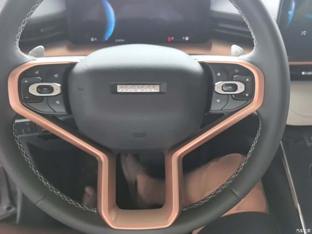 Haval H6, 2021 7