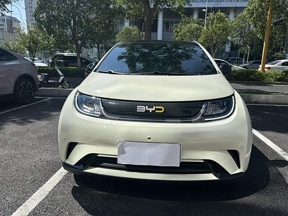 BYD dolphin