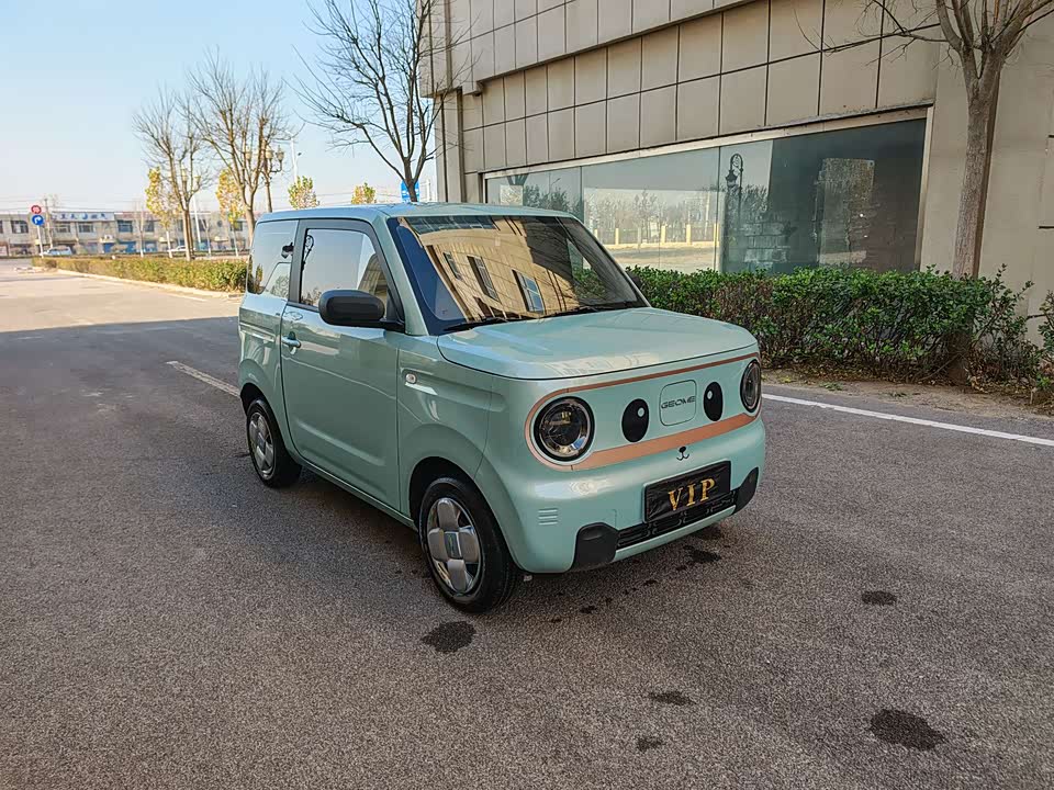 Geely Galaxy panda