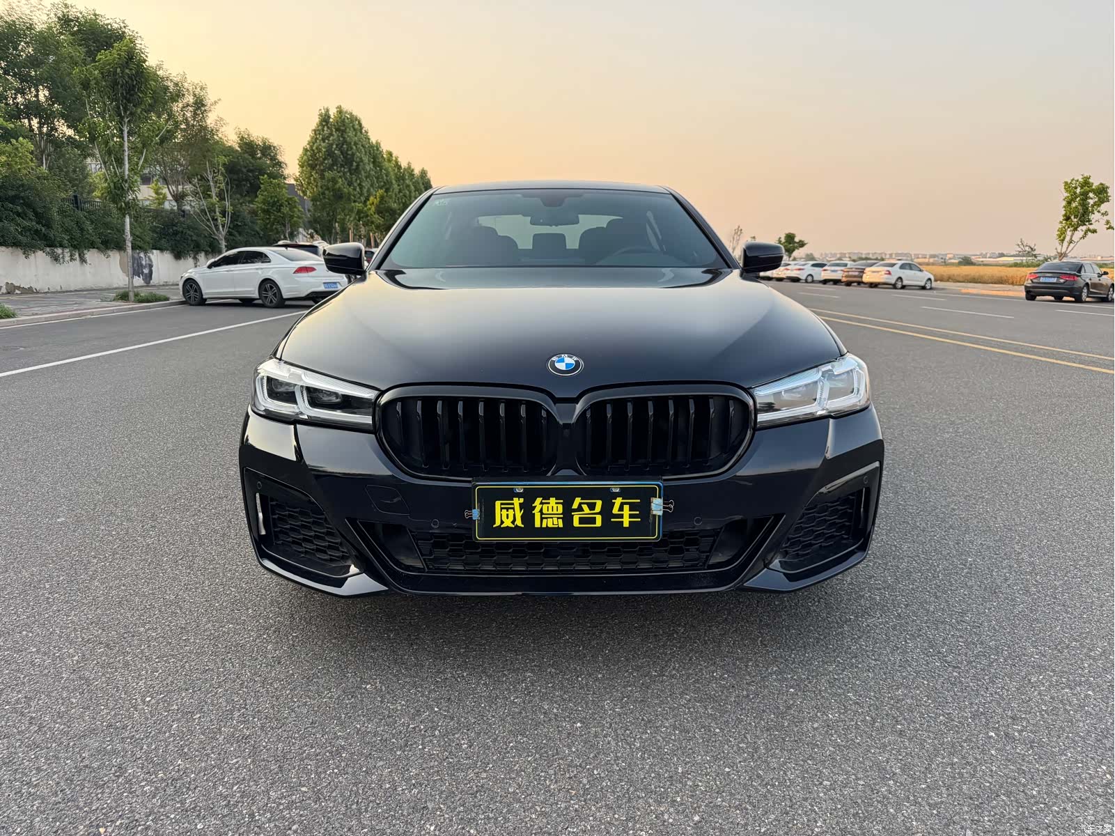 BMW 5 Series, 2018 3