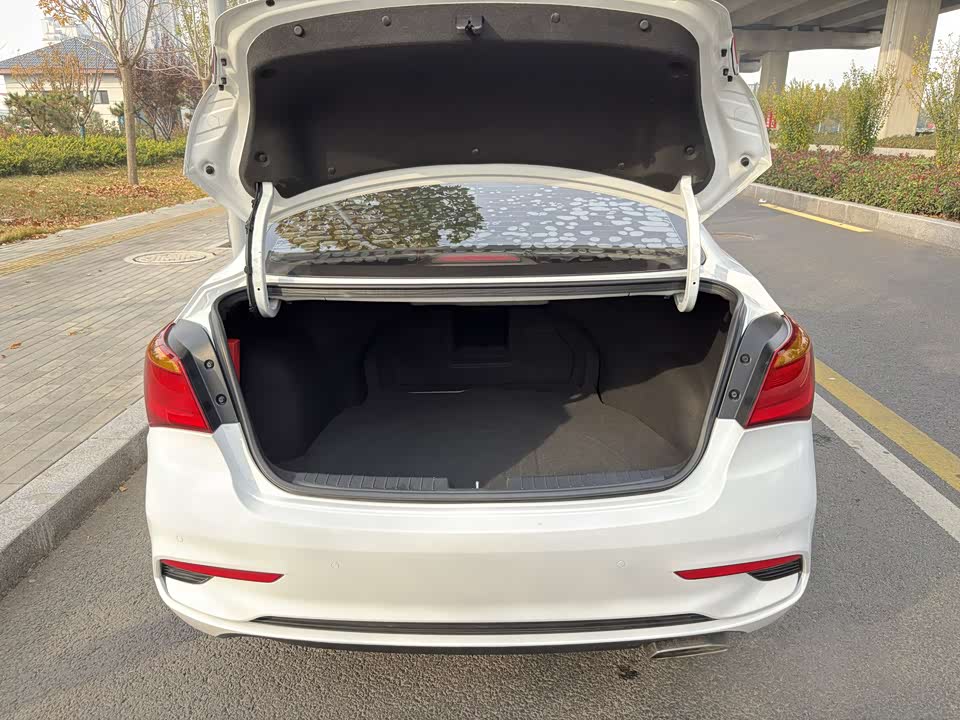 Hyundai Name picture