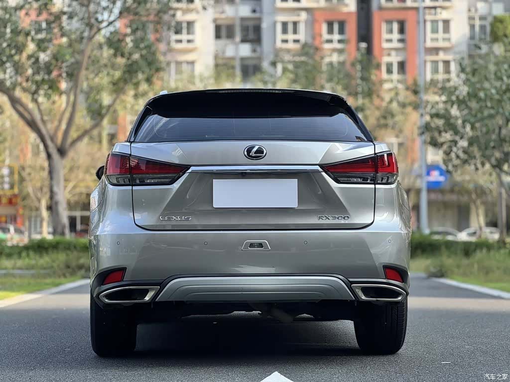 Lexus RX, 2020 8