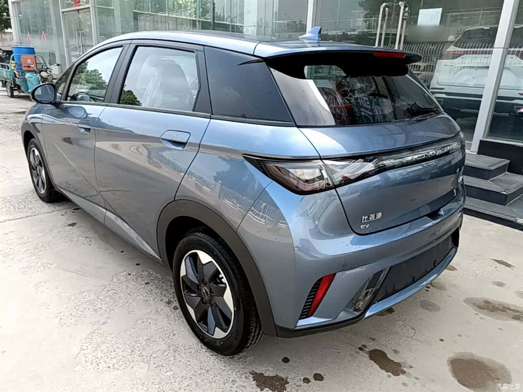 BYD Dolphin, 2026 все фото