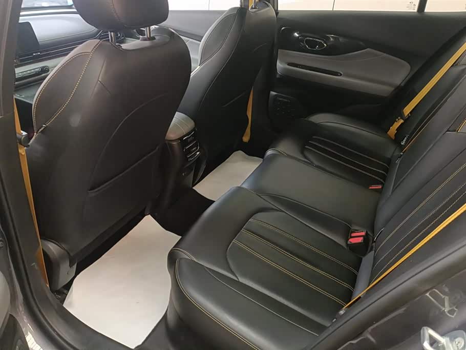 Trumpchi Shadow Leopard