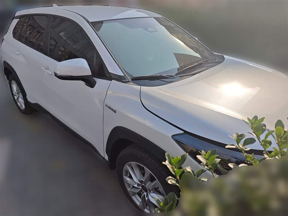 Toyota Corolla Sharp amplifier