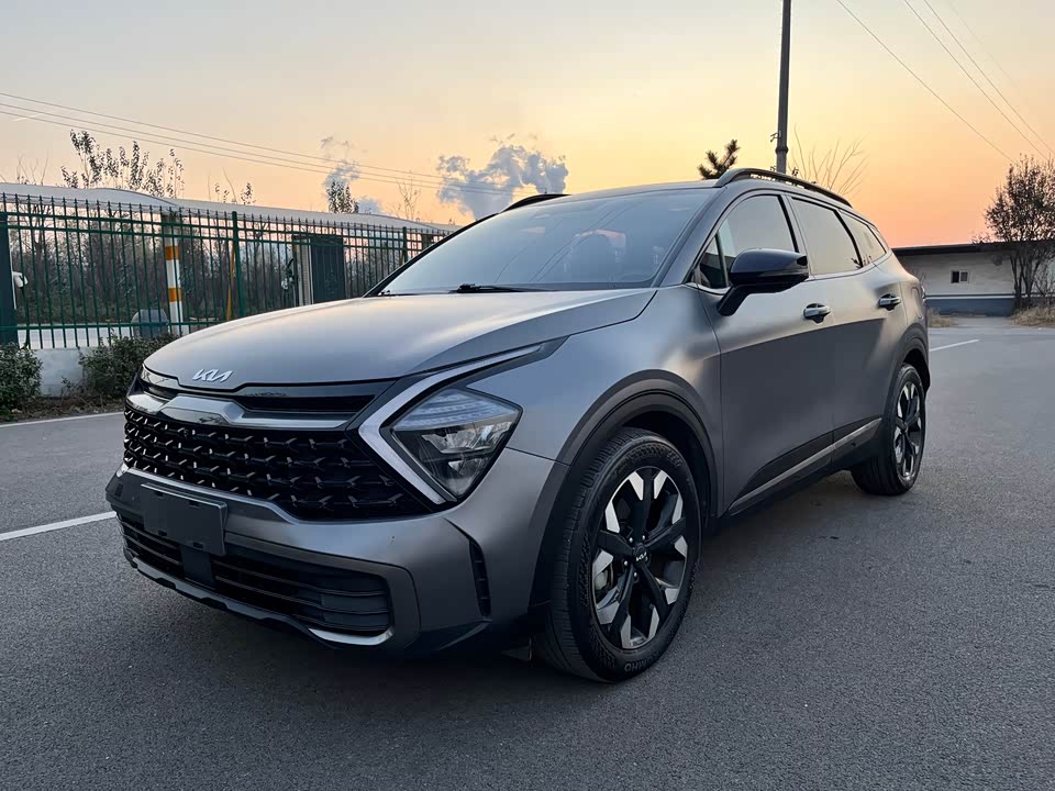 Kia Lion Platinum expands the world