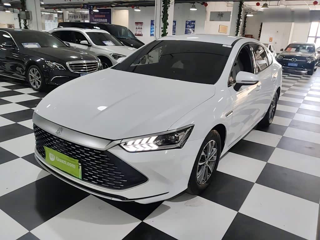 BYD Qin Plus PLUS 2024 DM-i 55KM Lead