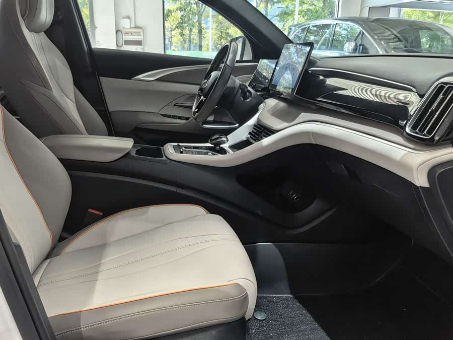 BYD Song Pro New Energy 2024, фото 18