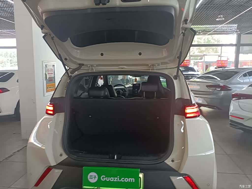 BYD Seagull, 2023 19