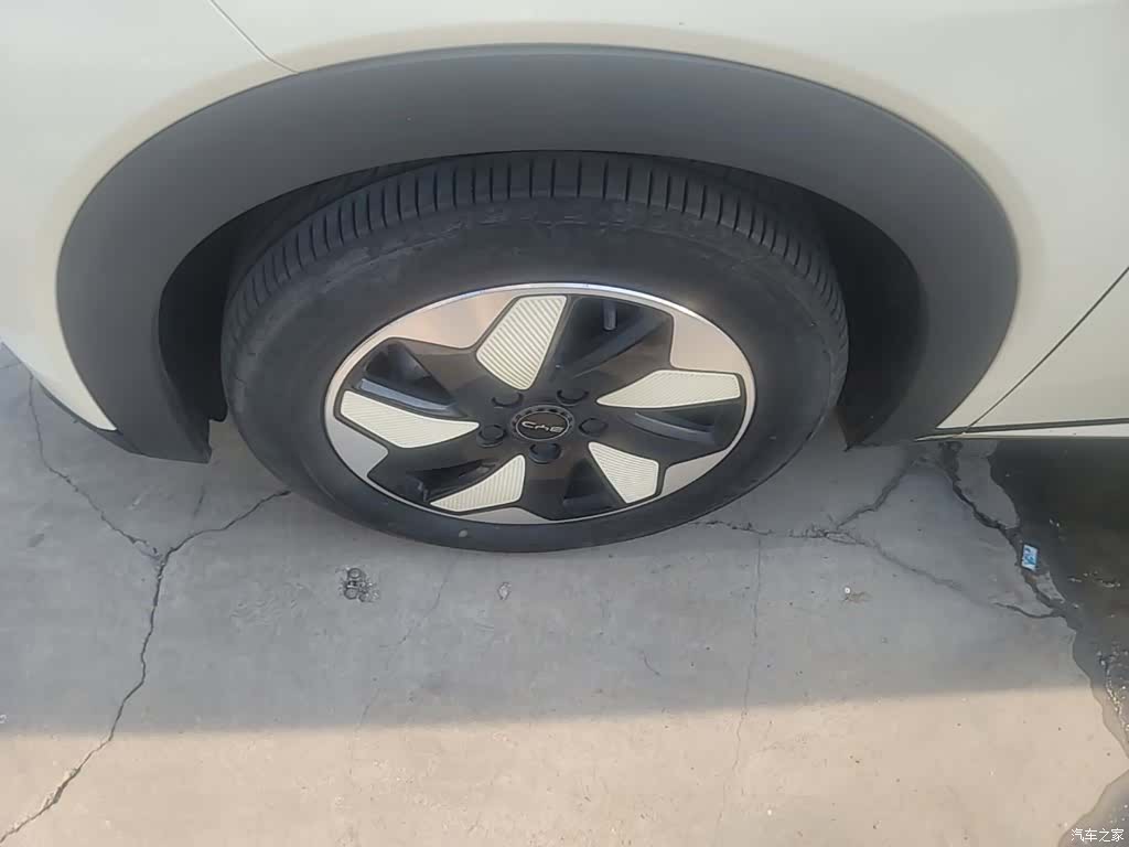 BYD Dolphin, 2024 25