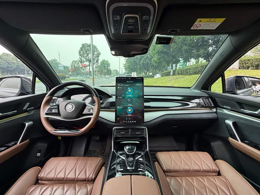 BYD Tang New Energy 2022, фото 13