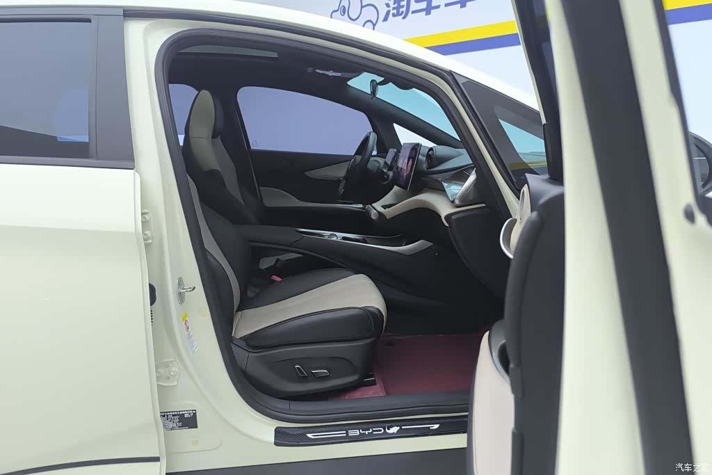 BYD Dolphin, 2024 8