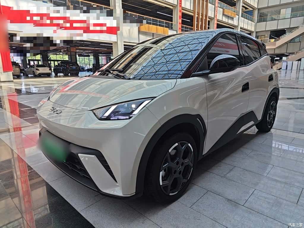 BYD Seagull, 2025 1