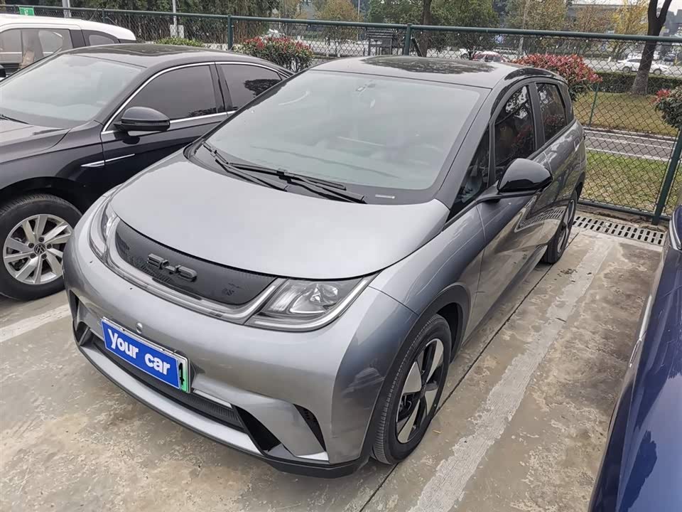 BYD dolphin