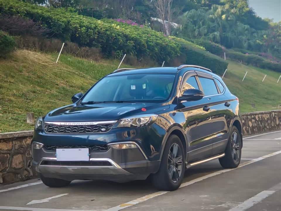 Leopaard Cheetah CS10