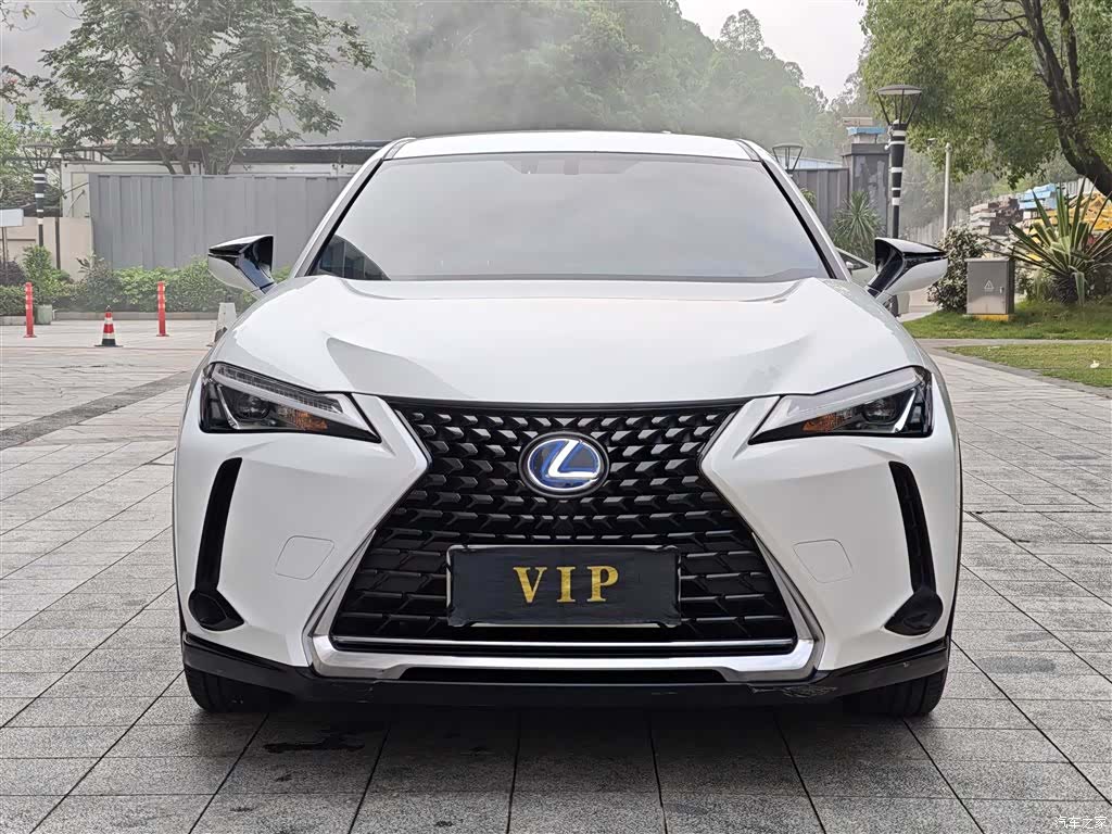 Lexus UX, 2019 2
