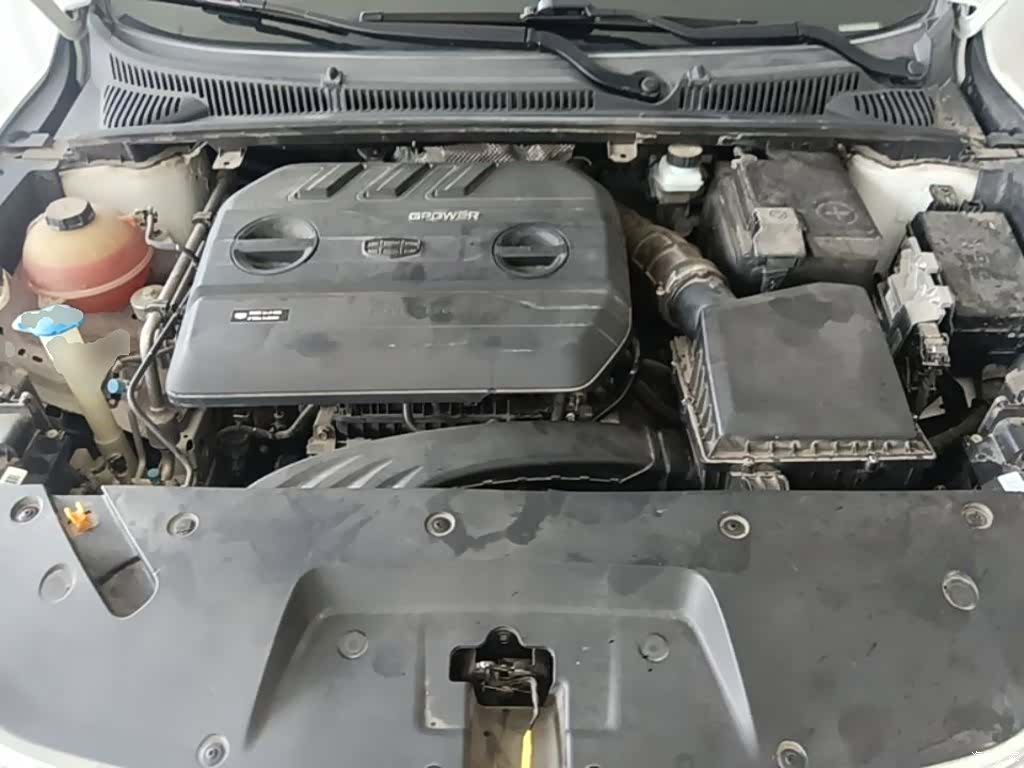 Geely Binray, 2020 20