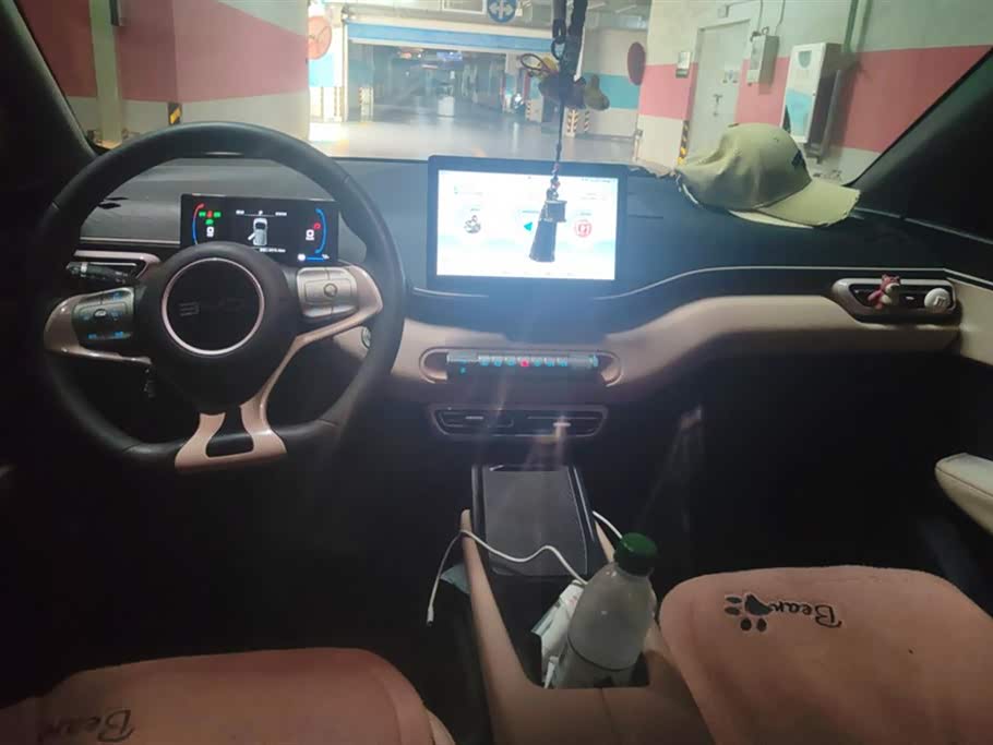 BYD Seagull