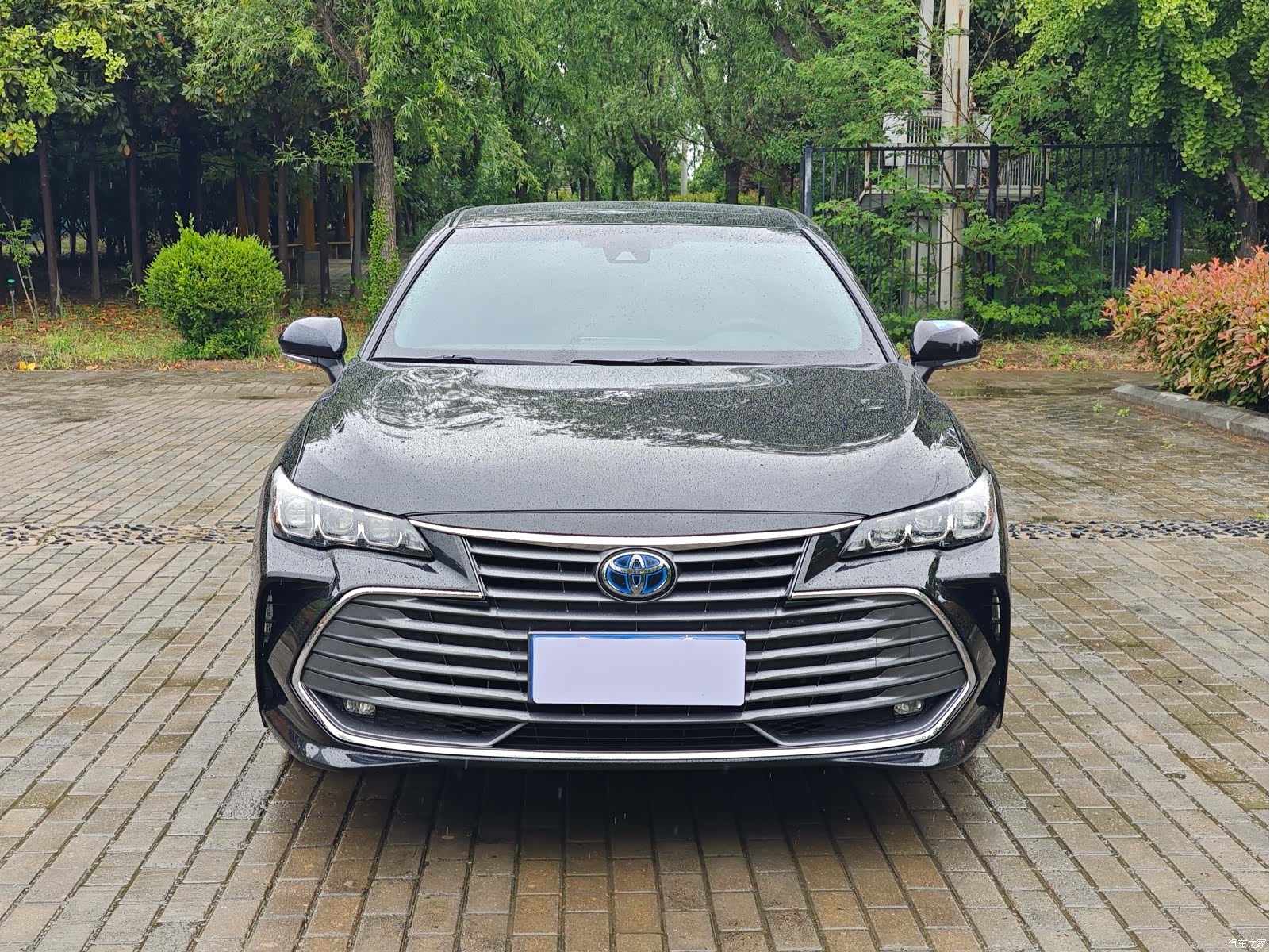 Toyota Avalon, 2022 3