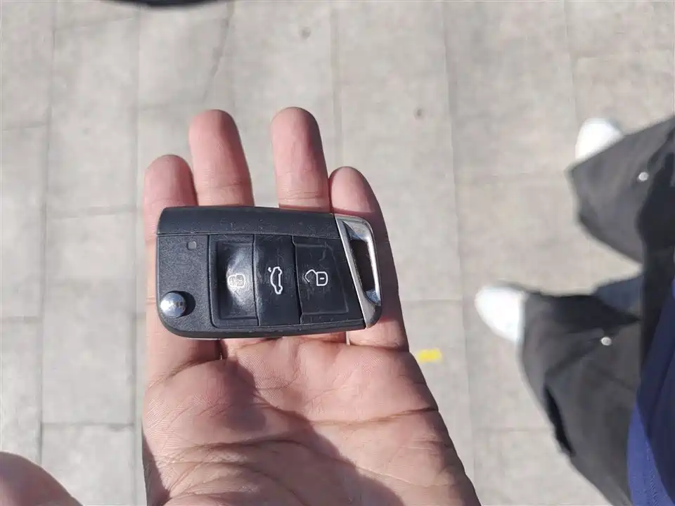 Volkswagen Golf*pure electricity