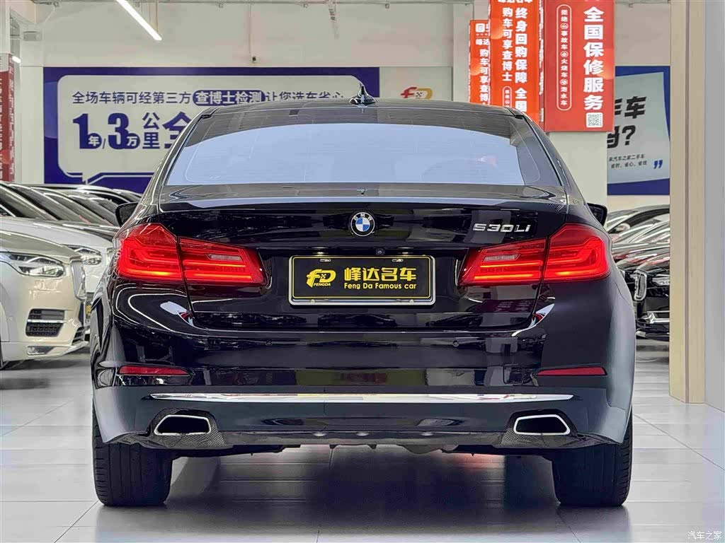 BMW 5 Series, 2020 3