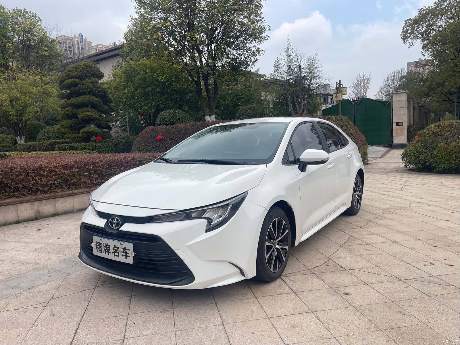 Toyota Levin, 2024 1