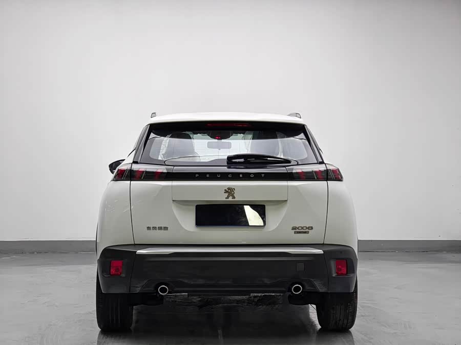 Peugeot 2008 2021, фото 5
