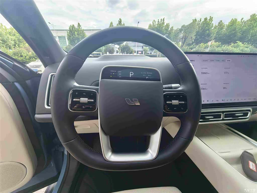 Li Auto L8, 2023 13