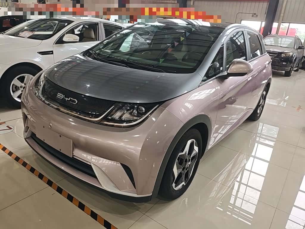 BYD Dolphin, 2022 1