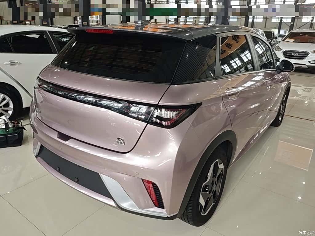 BYD Dolphin, 2022 7