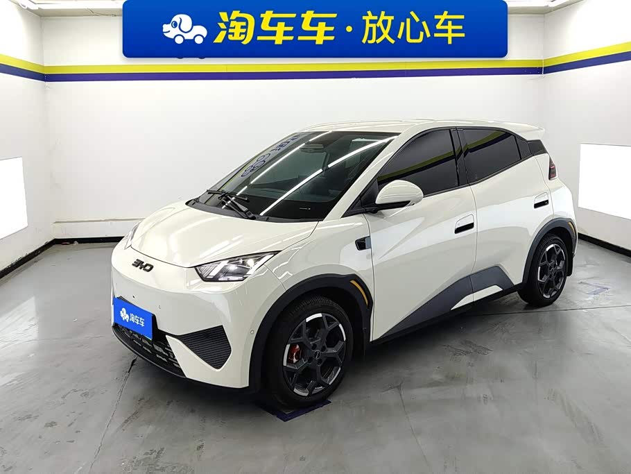 BYD Seagull