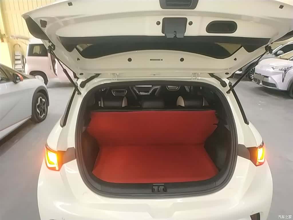BYD Dolphin, 2025 19