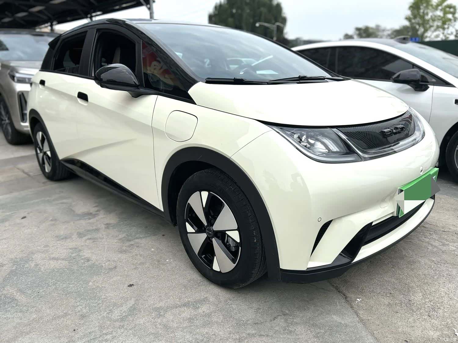 BYD Dolphin, 2023 3