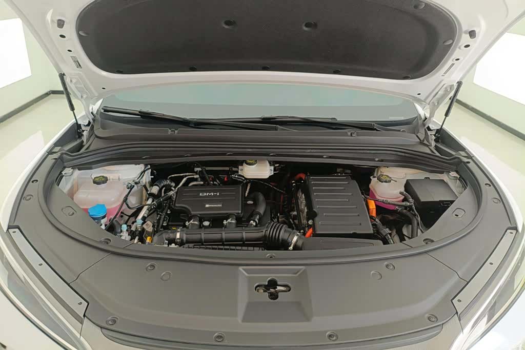 BYD Song, 2024 10