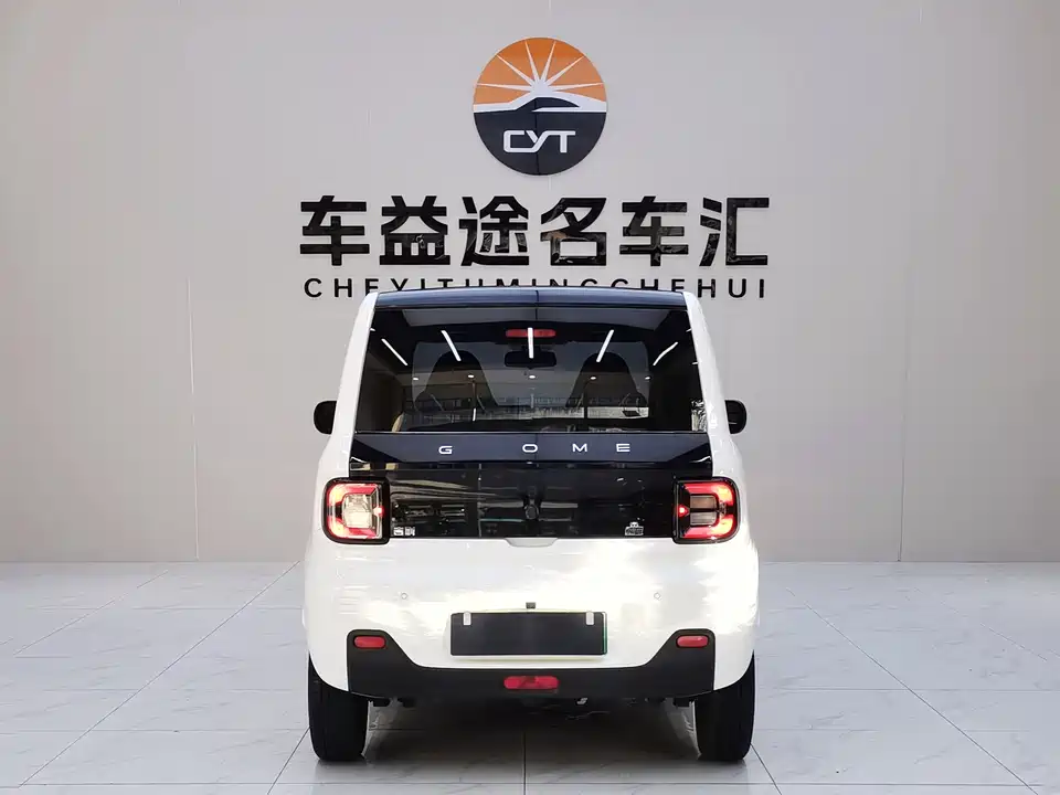 Geely Galaxy panda