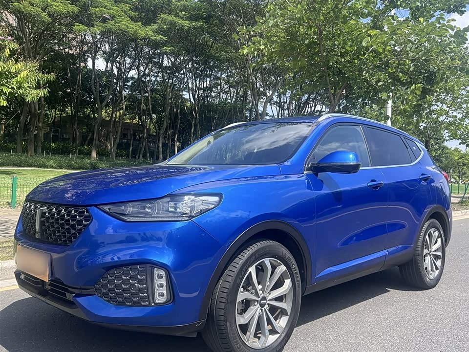 Weipai VV6