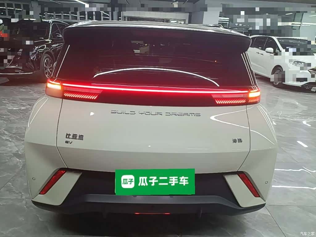 BYD Seagull, 2024 6