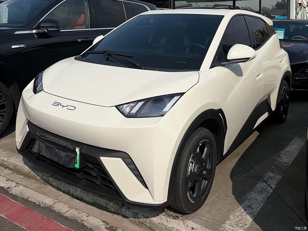BYD Seagull, 2024 1