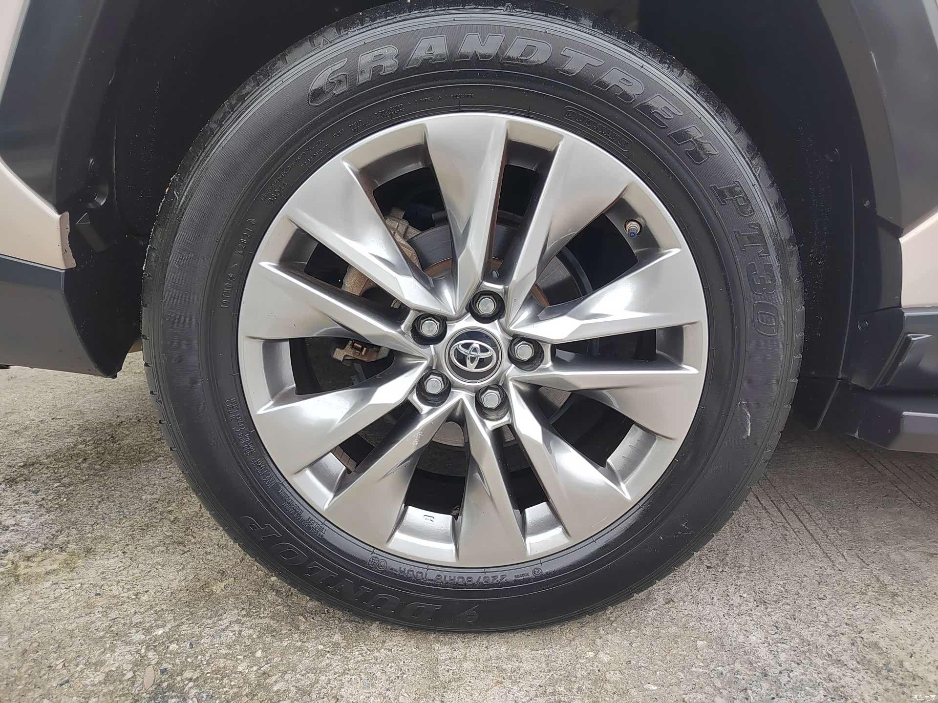 Toyota Wildlander, 2021 все фото