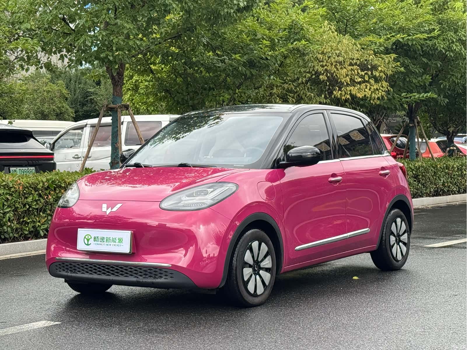Wuling Bingo