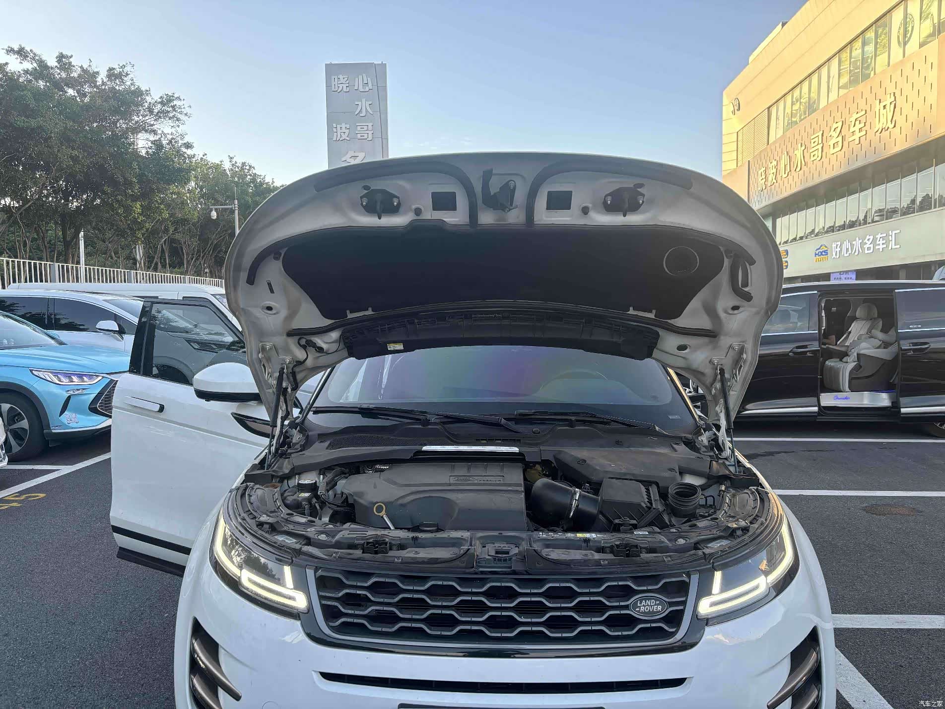Land Rover Range Rover, 2020 6