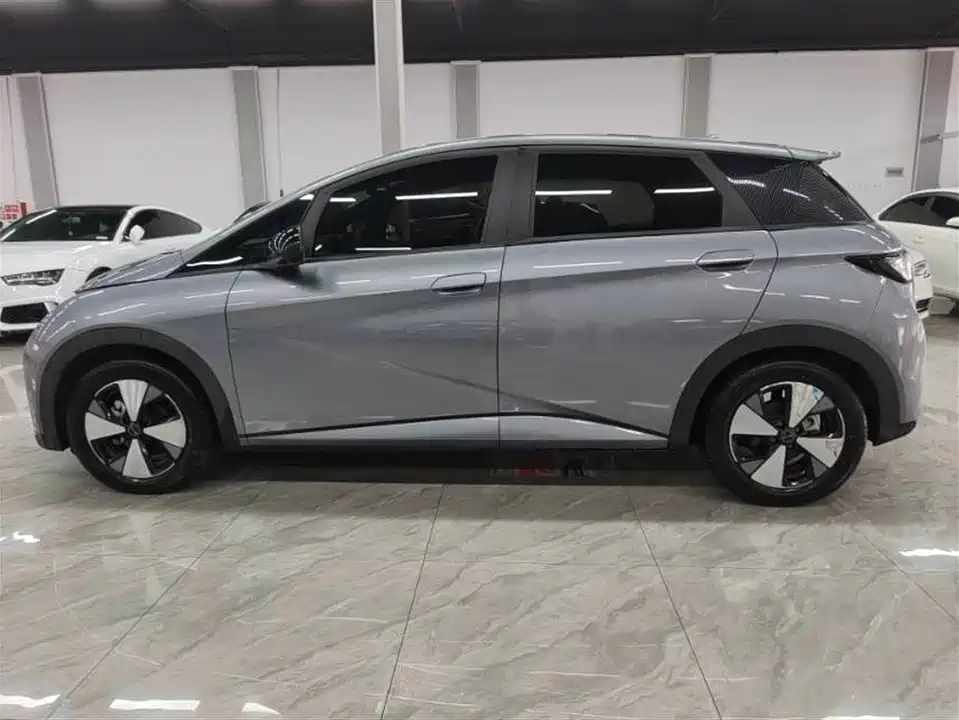 BYD dolphin