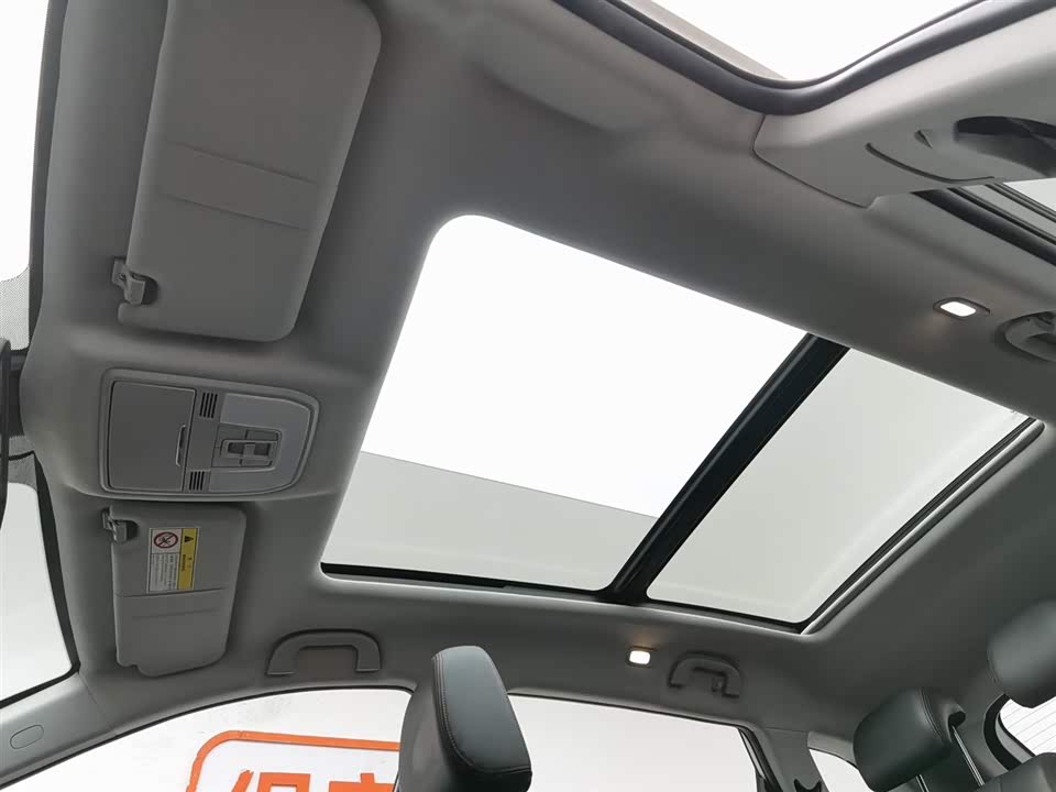 Leopaard Cheetah CS10