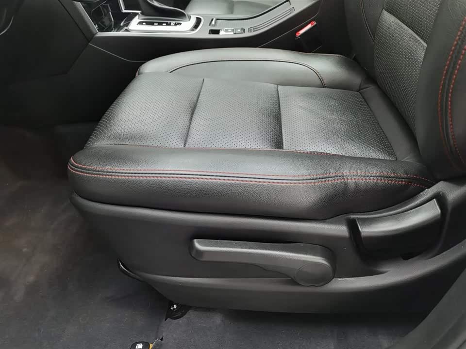 Leopaard Cheetah CS10